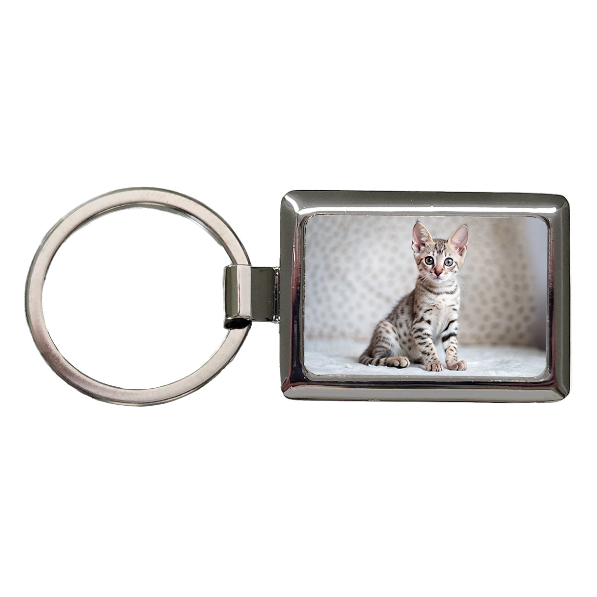 Egyptian Mau Cat Kitten Photo Rectangle Metal Keychain