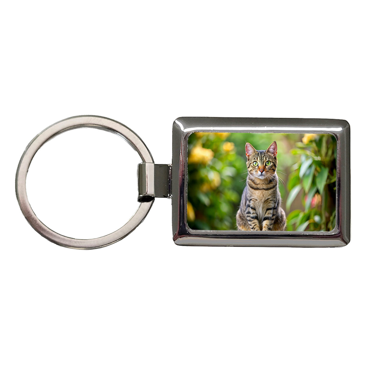 European Shorthair Cat Photo Rectangle Metal Keychain