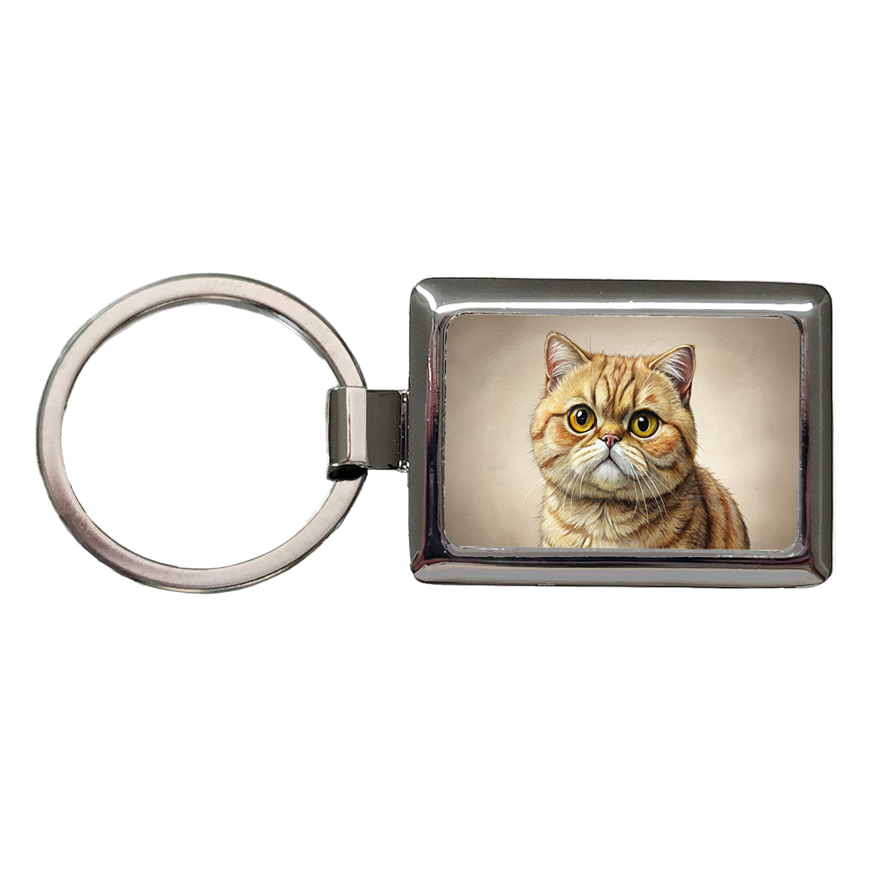 Exotic Shorthair Cat Illustration Rectangle Metal Keychain