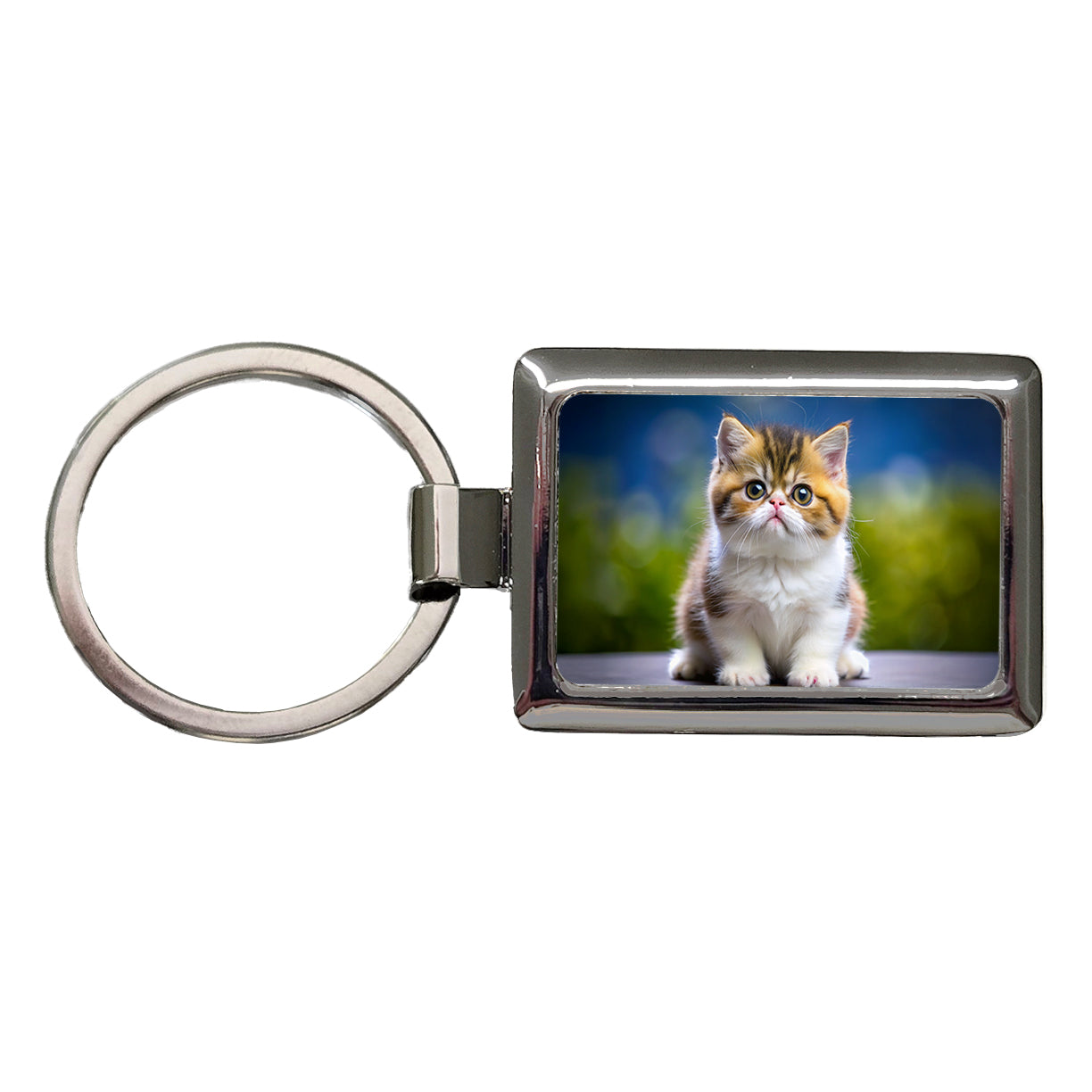 Exotic Shorthair Cat Kitten Photo Rectangle Metal Keychain