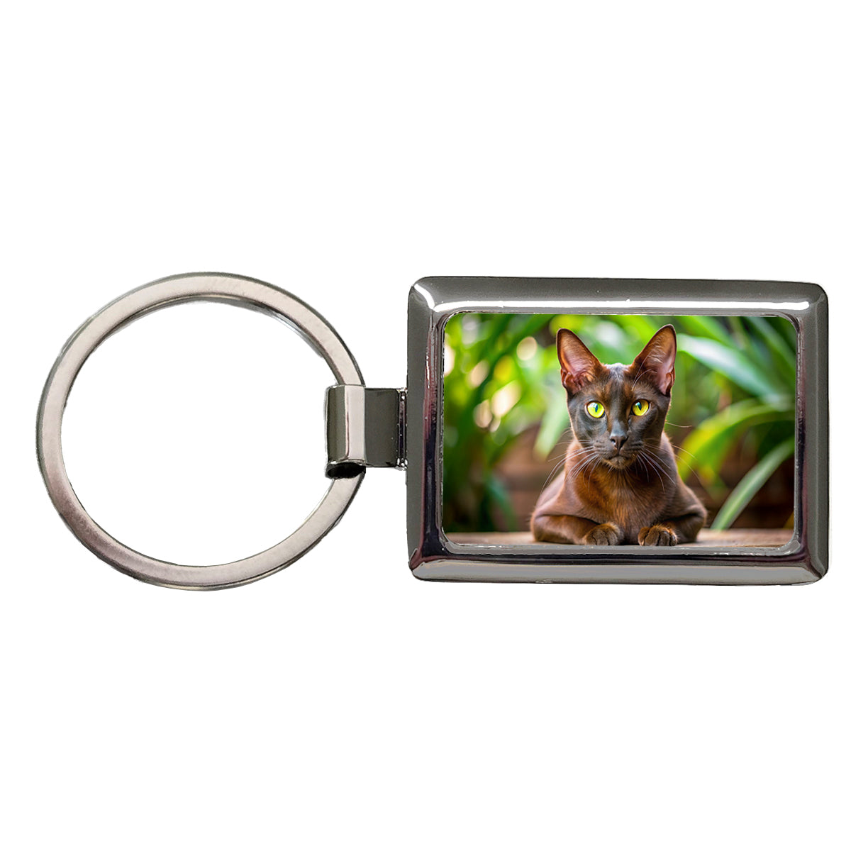 Havana Brown Cat Photo Rectangle Metal Keychain
