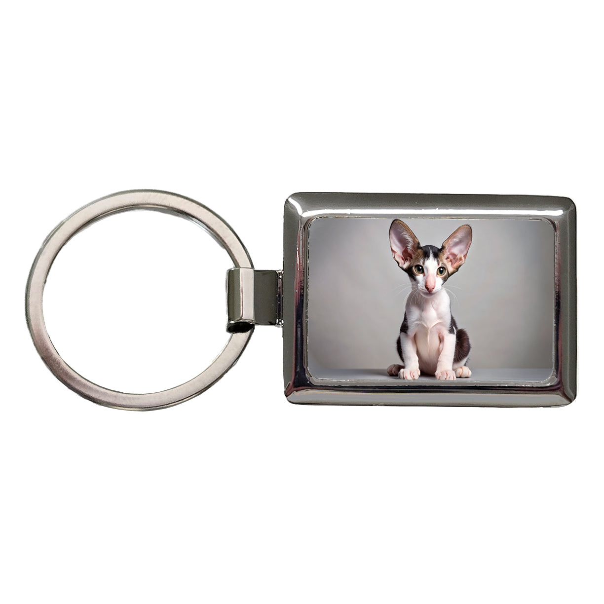 Oriental Shorthair Black White Cat Kitten Photo Rectangle Metal Keychain