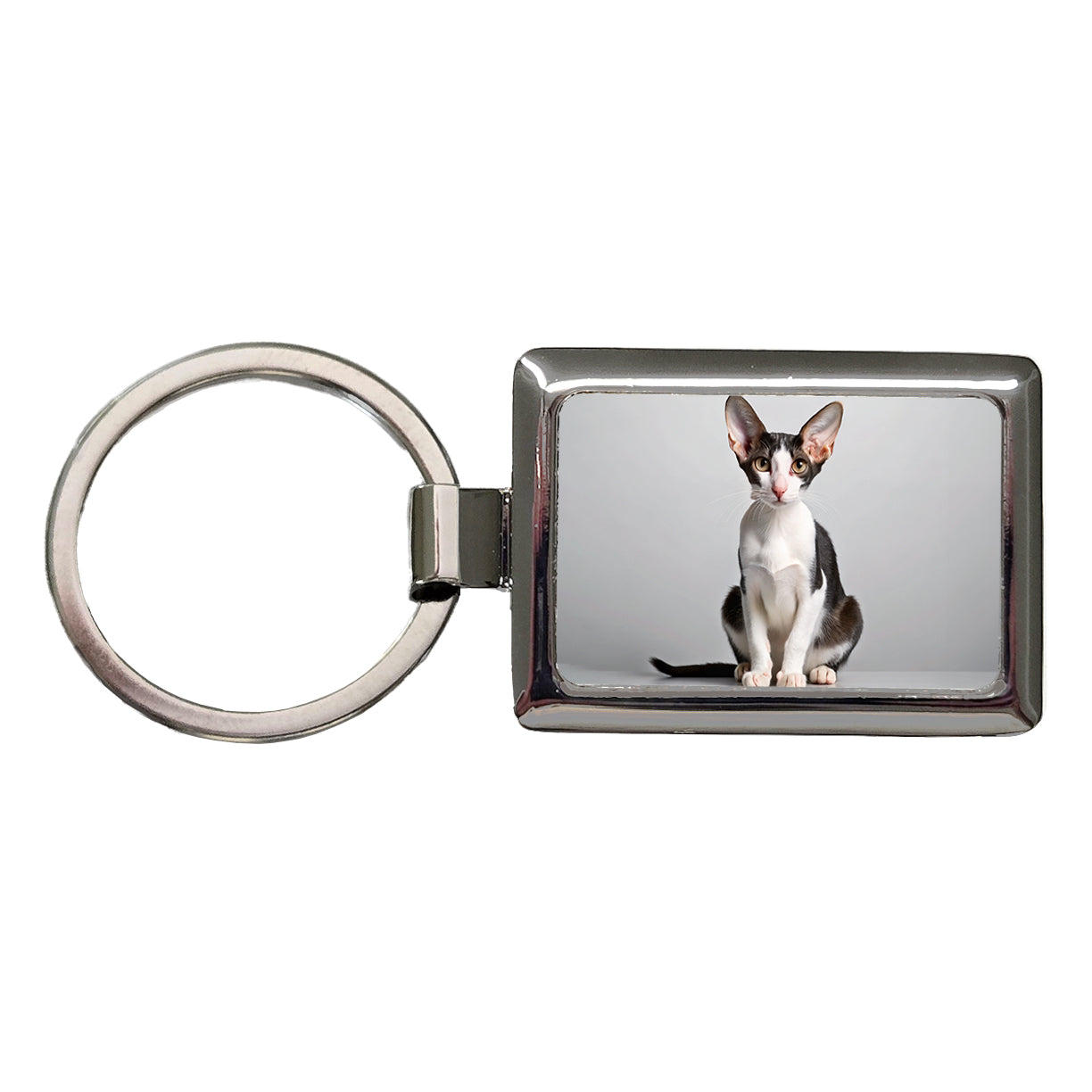 Oriental Shorthair Black White Cat Photo Rectangle Metal Keychain