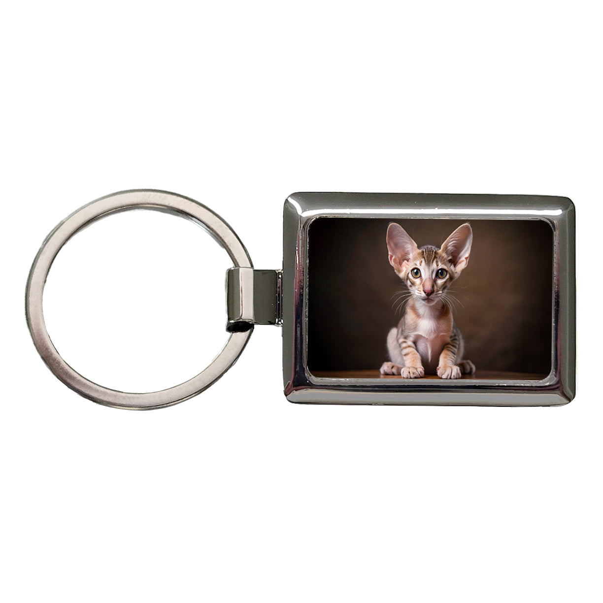 Oriental Shorthair Cat Kitten Photo Rectangle Metal Keychain