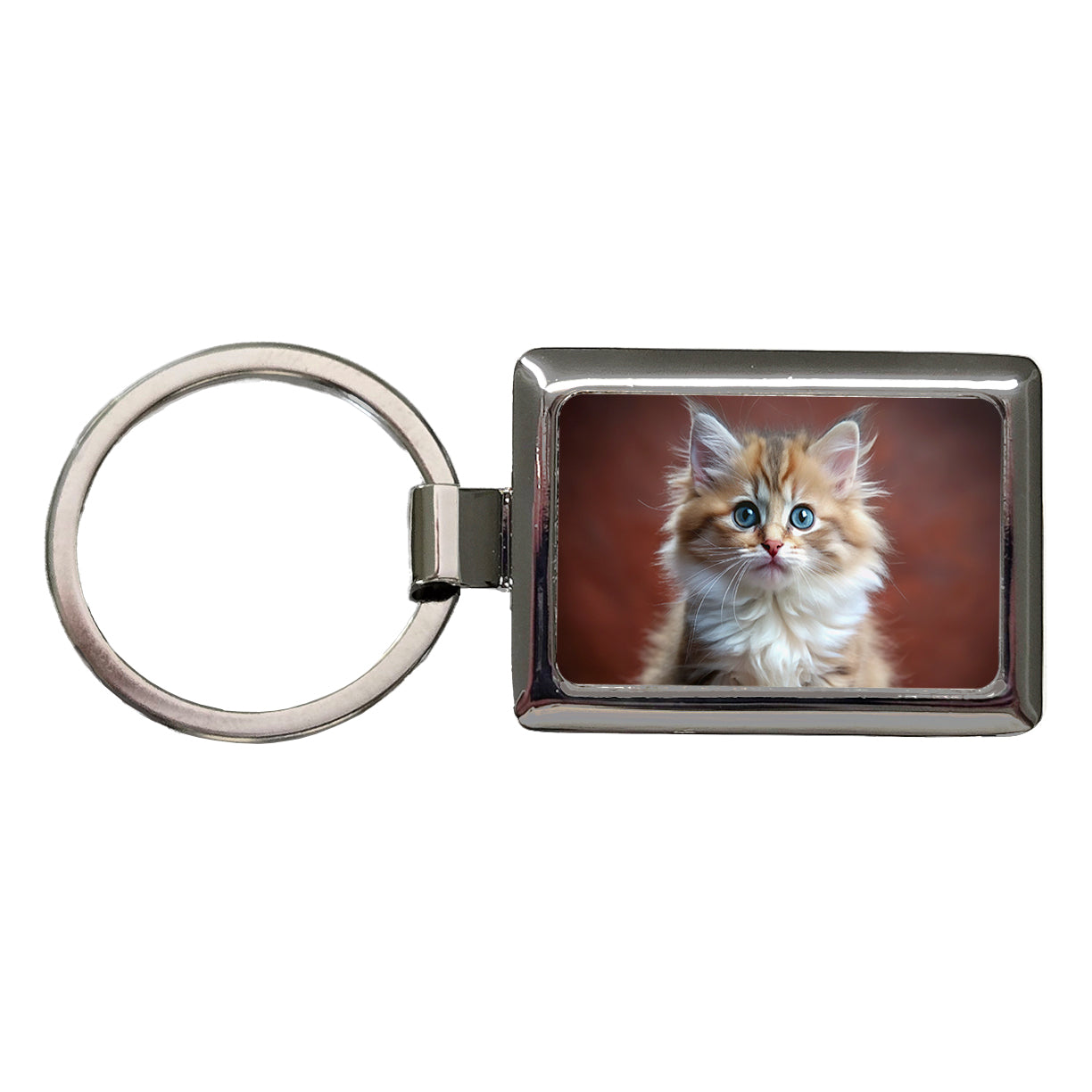 Ragamuffin Cat Kitten Photo Rectangle Metal Keychain