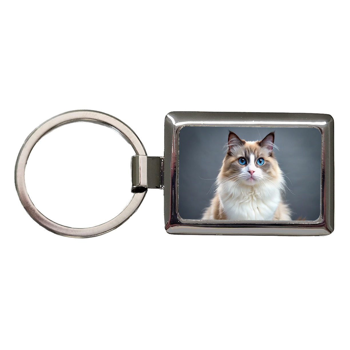 Ragdoll Cat Photo Rectangle Metal Keychain