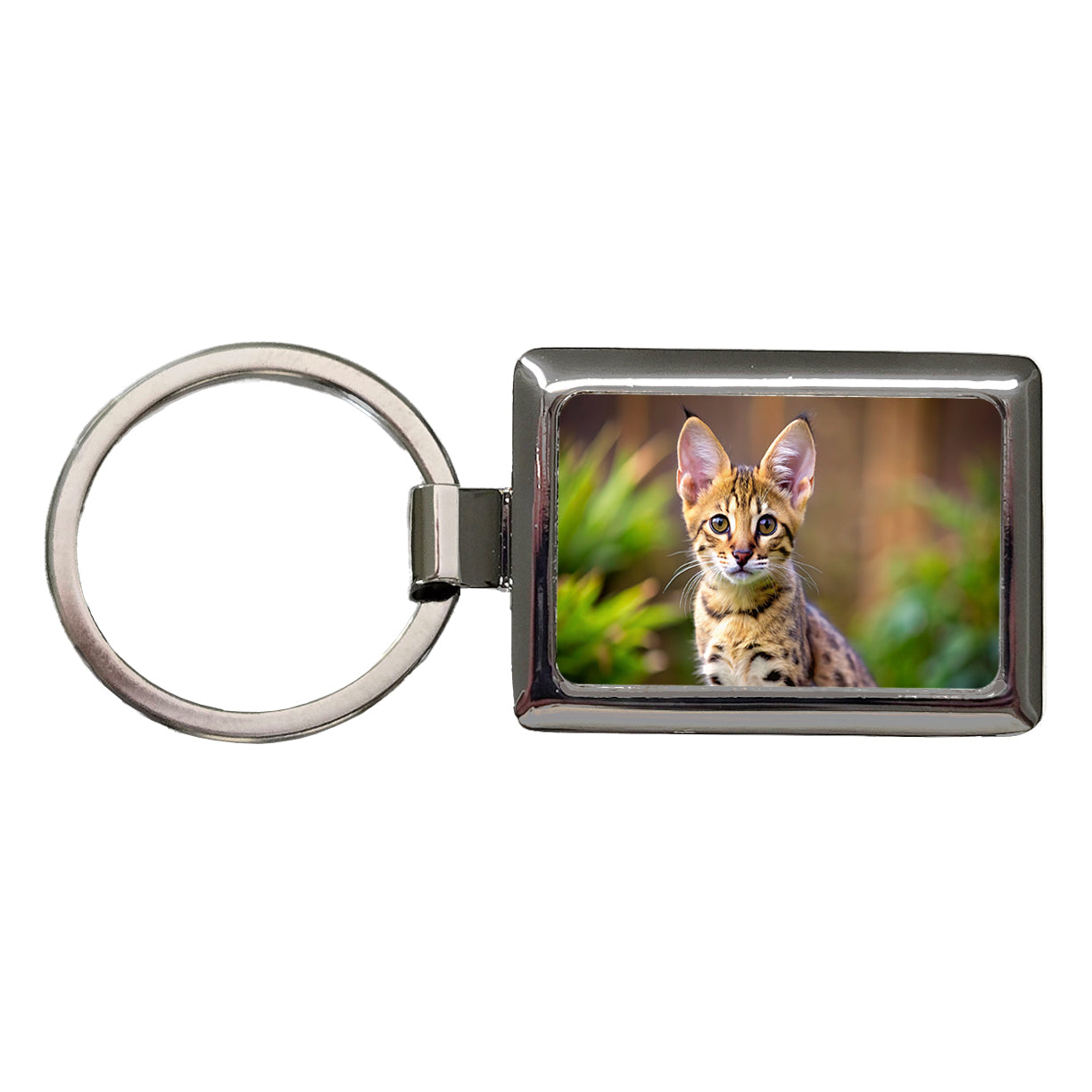 Savannah Cat Kitten Photo Rectangle Metal Keychain