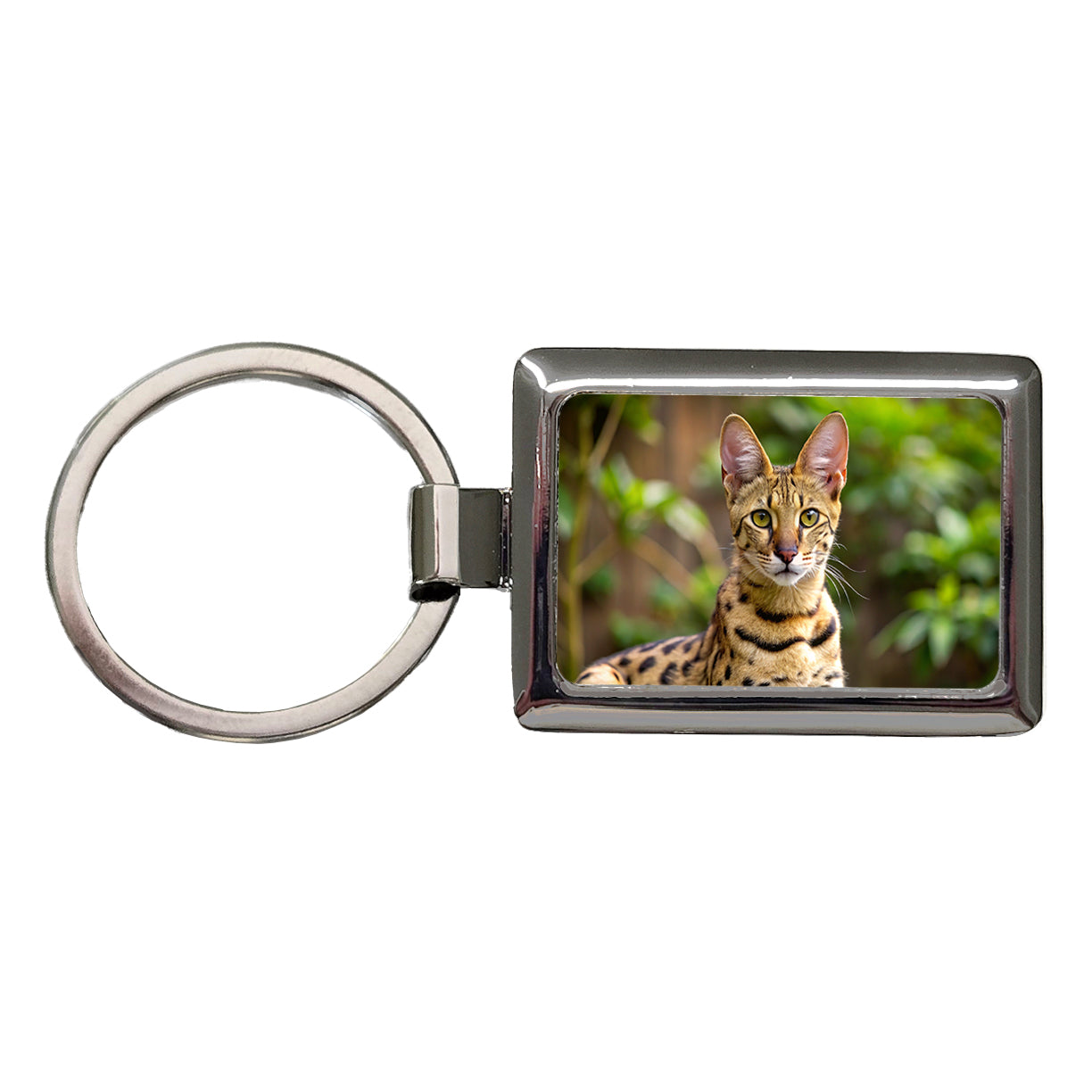 Savannah Cat Photo Rectangle Metal Keychain
