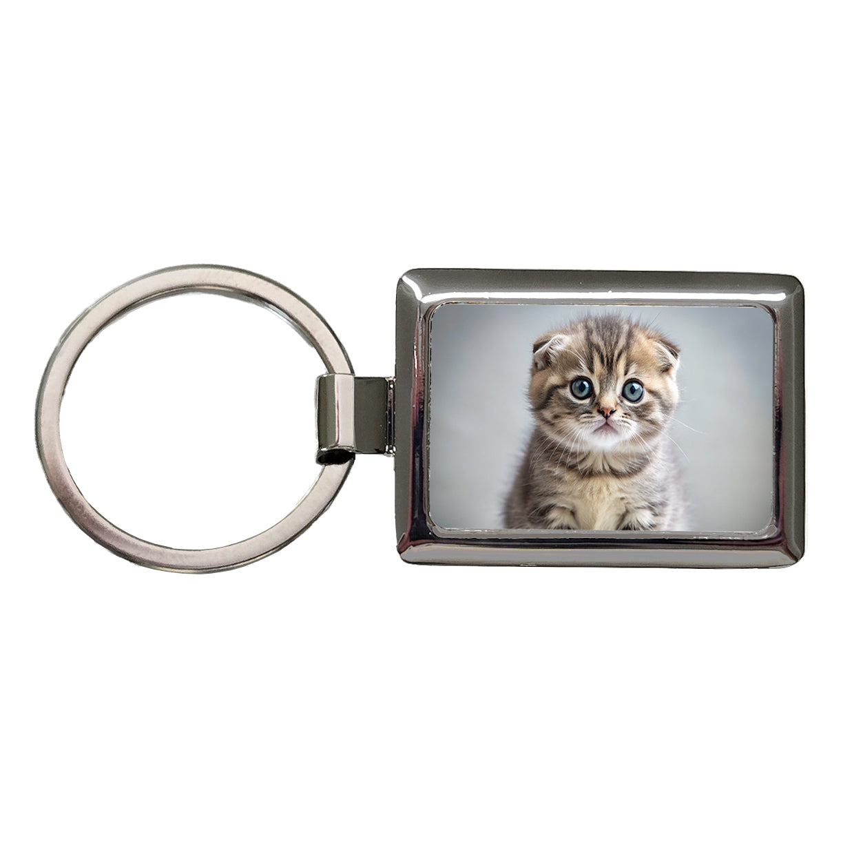 Scottish Fold Cat Kitten Photo Rectangle Metal Keychain