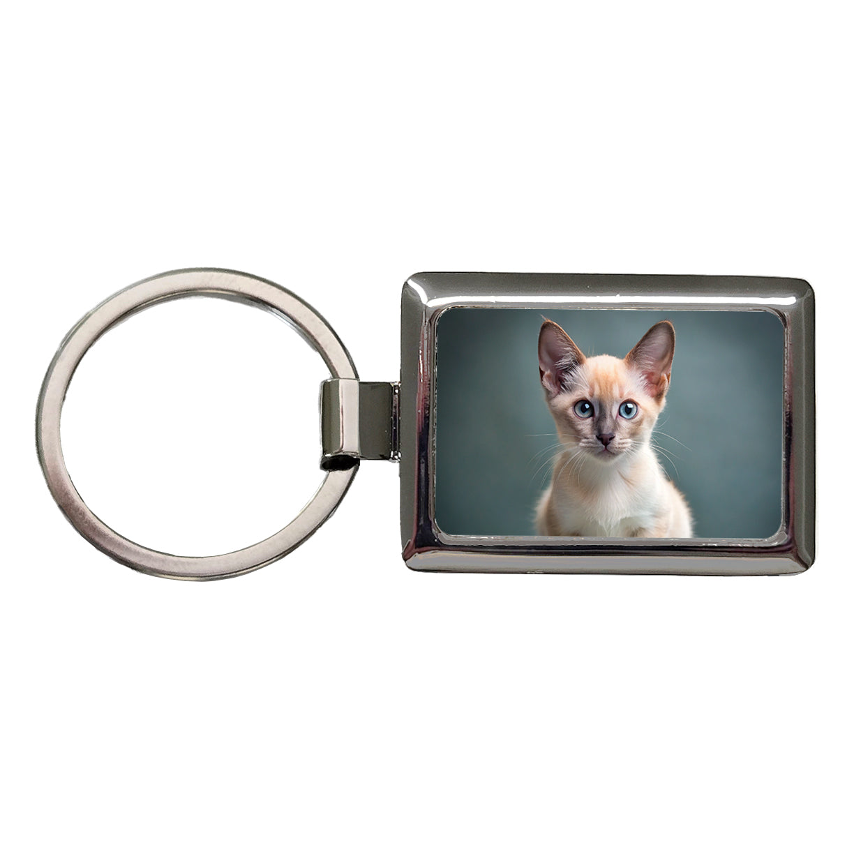 Tonkinese Cat Kitten Photo Rectangle Metal Keychain