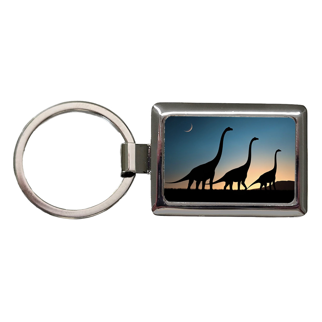 Brachiosaurus Silhouettes Dinosaurs Rectangle Metal Keychain