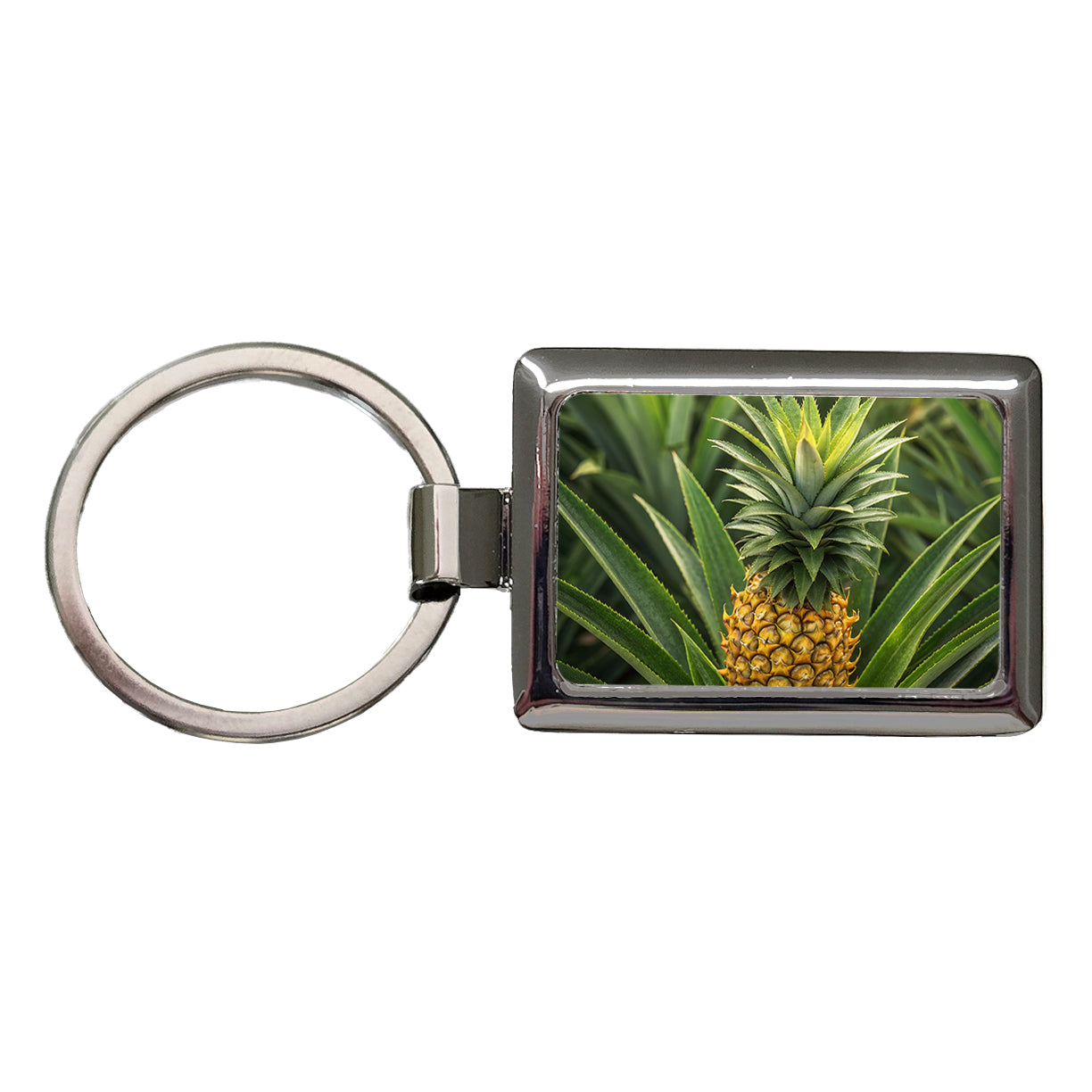 Pineapple Plant Rectangle Metal Keychain