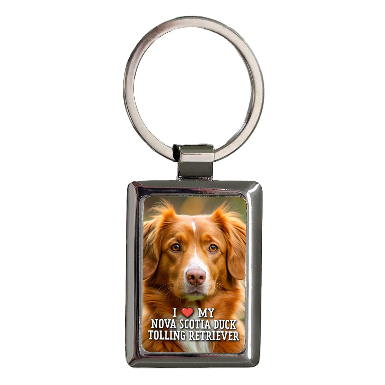 I Love My Nova Scotia Duck Tolling Retriever Dog Heart Rectangle Metal Keychain