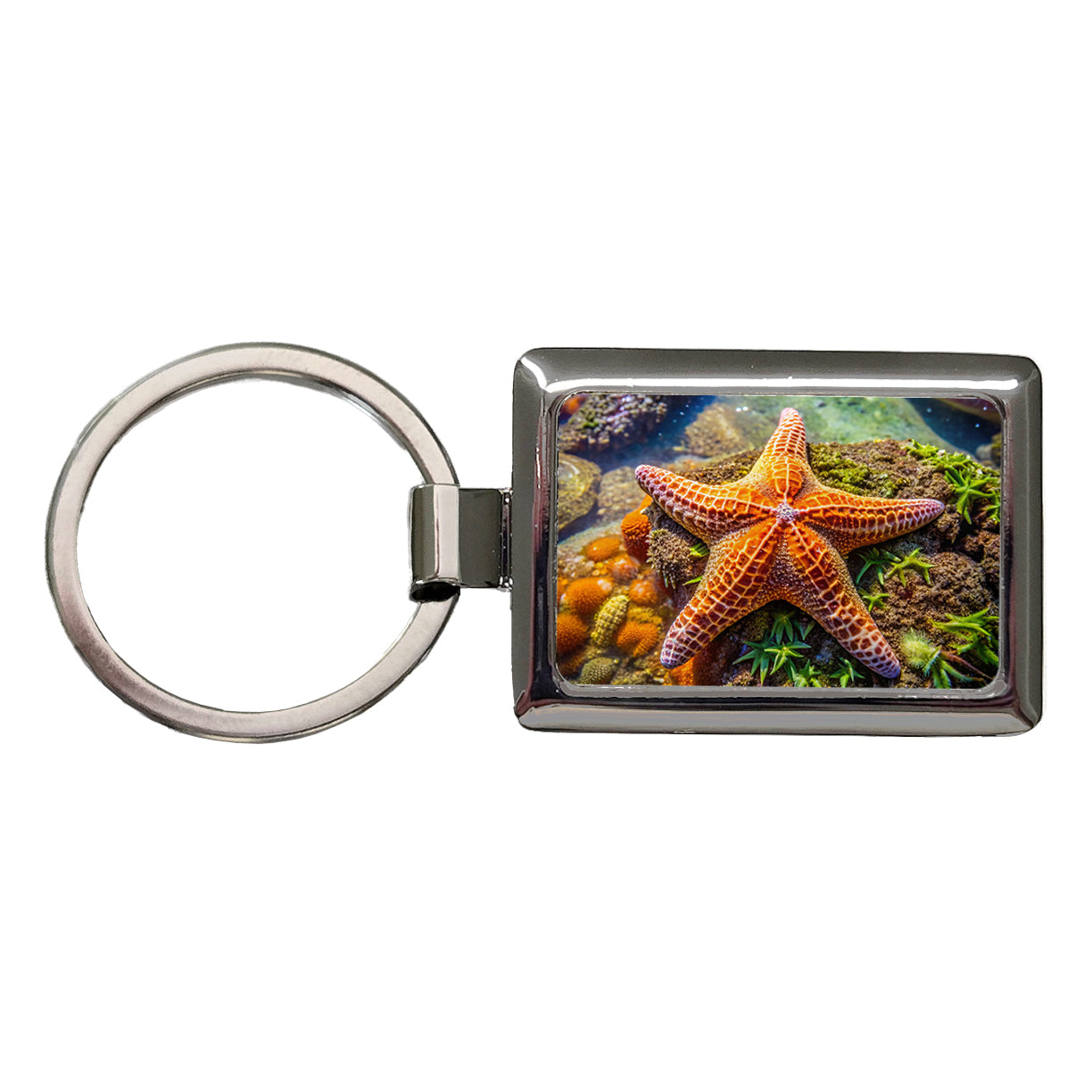 Starfish In Tide Pool Rectangle Metal Keychain