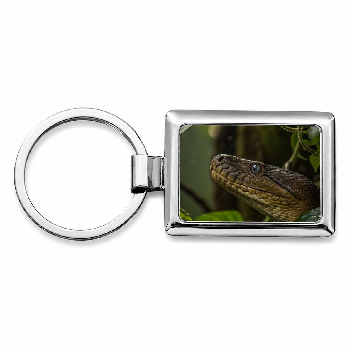 Anaconda Snake Close Up Rectangle Metal Keychain