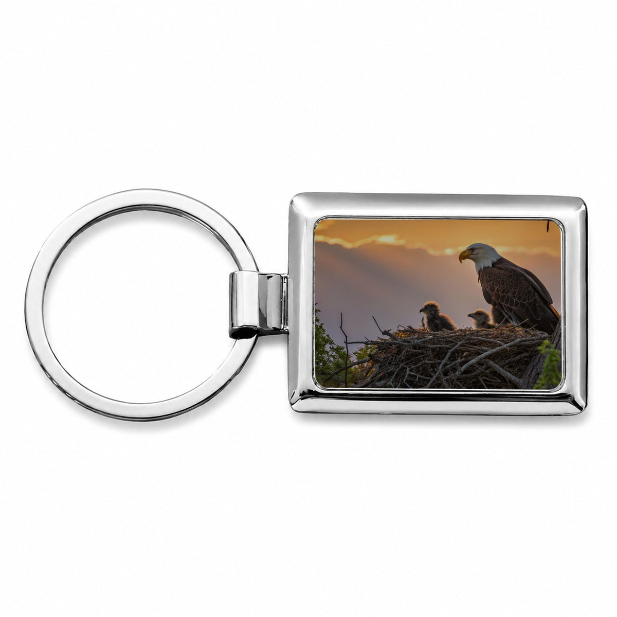 Bald Eagle Babies In Nest Sunset Rectangle Metal Keychain