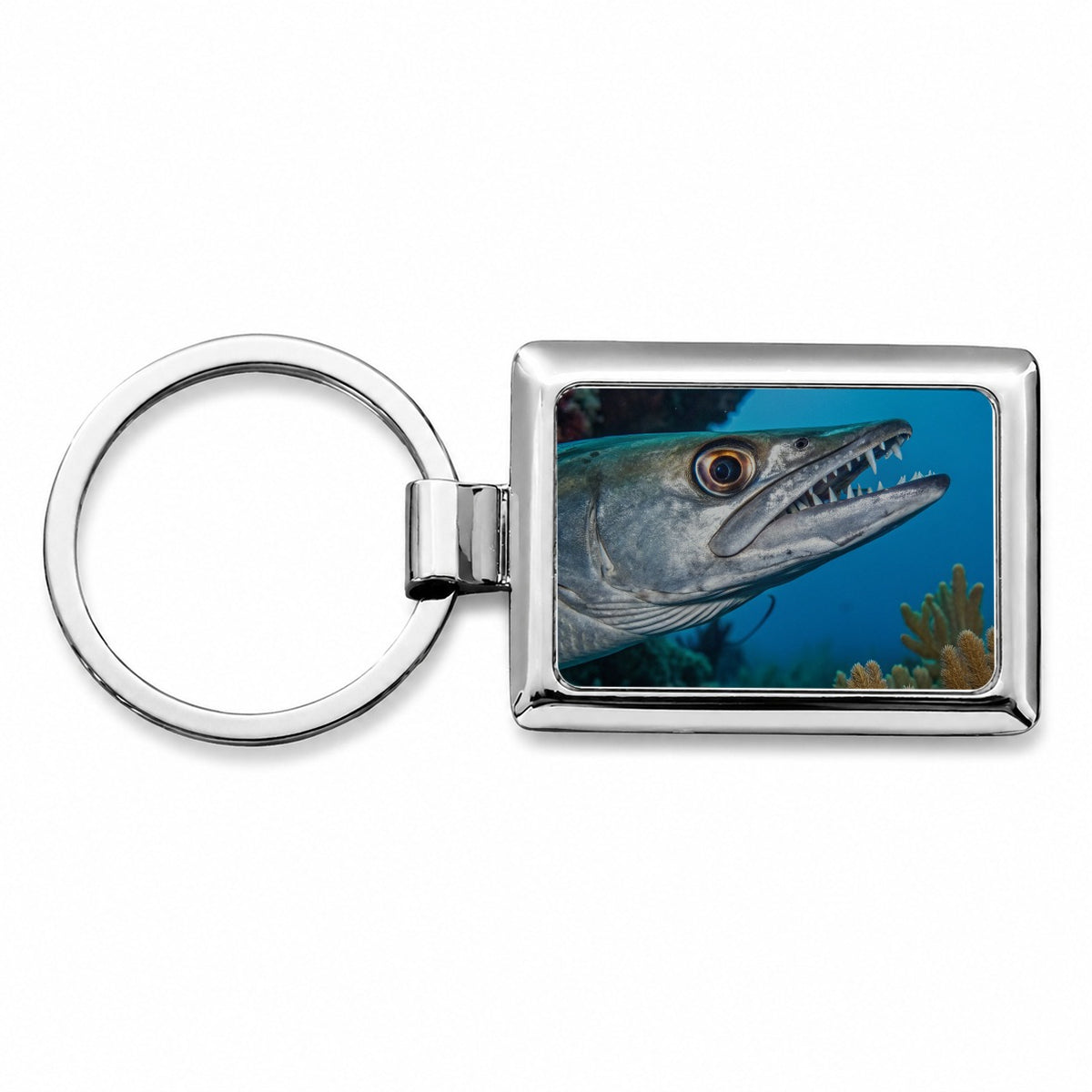 Barracuda Fish Ocean Wildlife Rectangle Metal Keychain