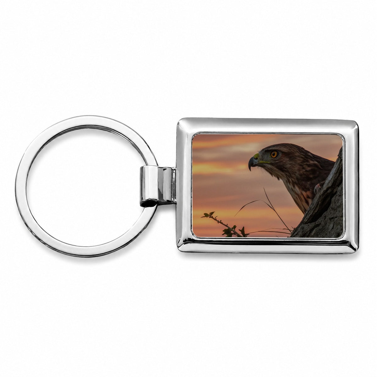 Buzzard Bird At Sunset Rectangle Metal Keychain