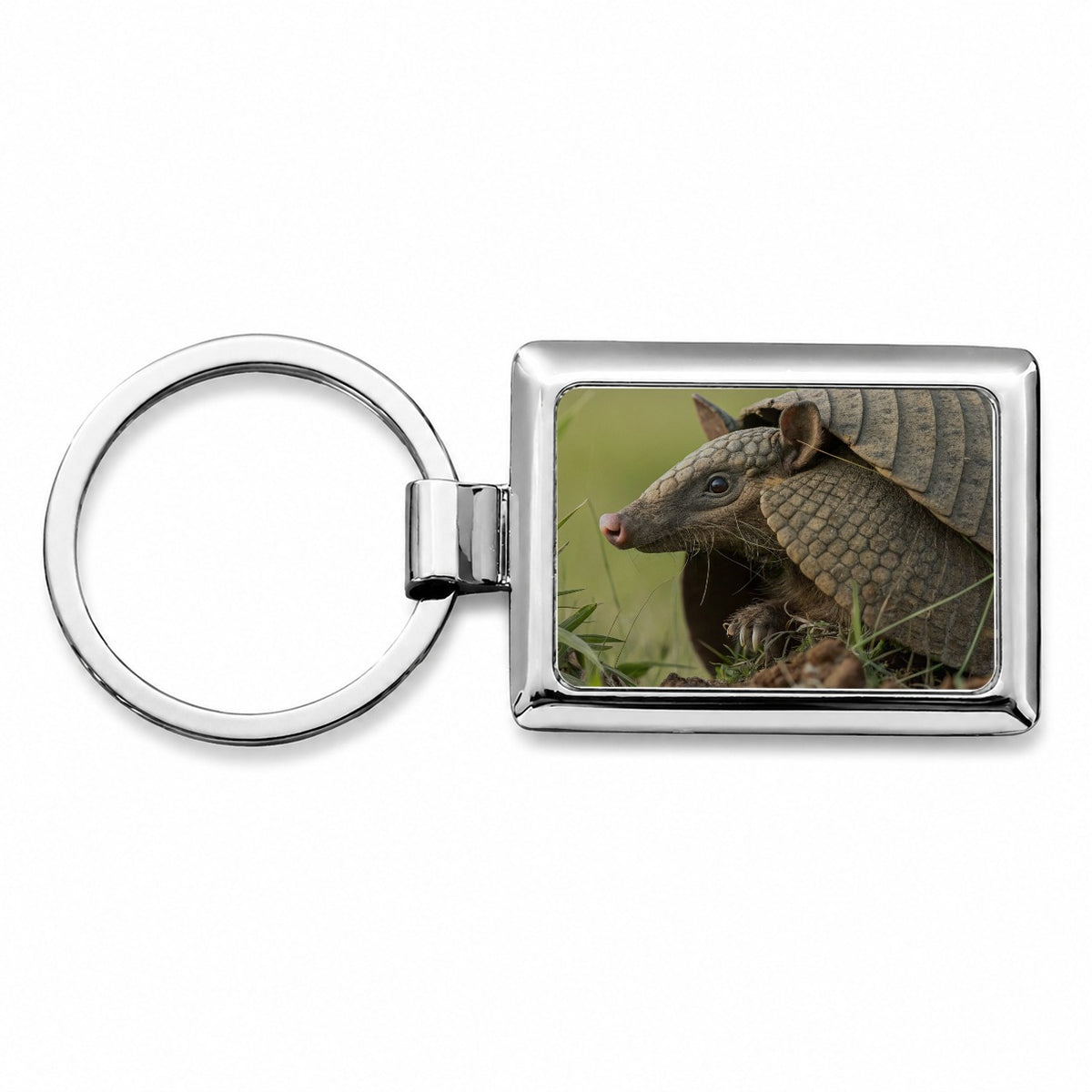 Curious Armadillo Wildlife Nature Rectangle Metal Keychain