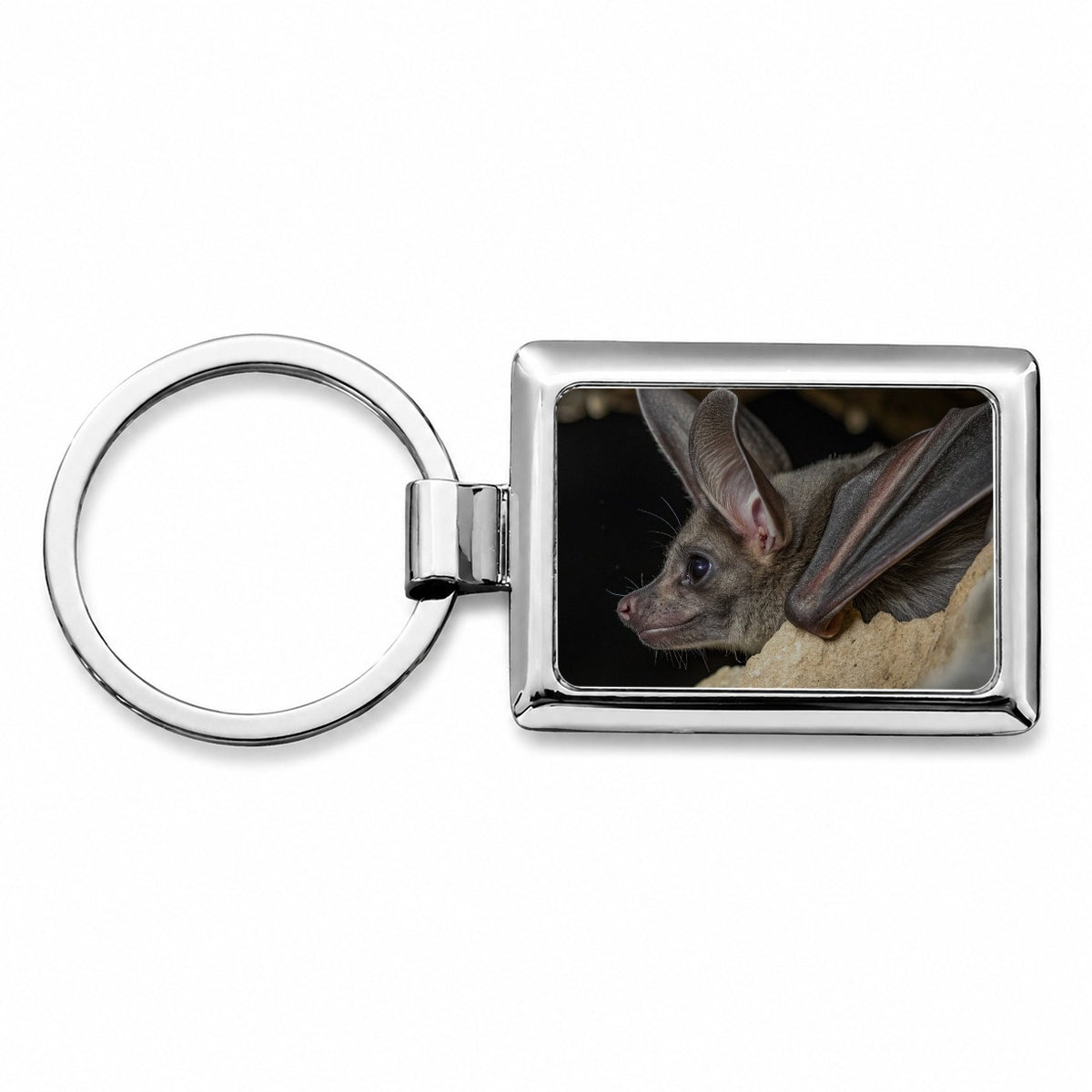 Curious Bat Cave Wildlife Rectangle Metal Keychain