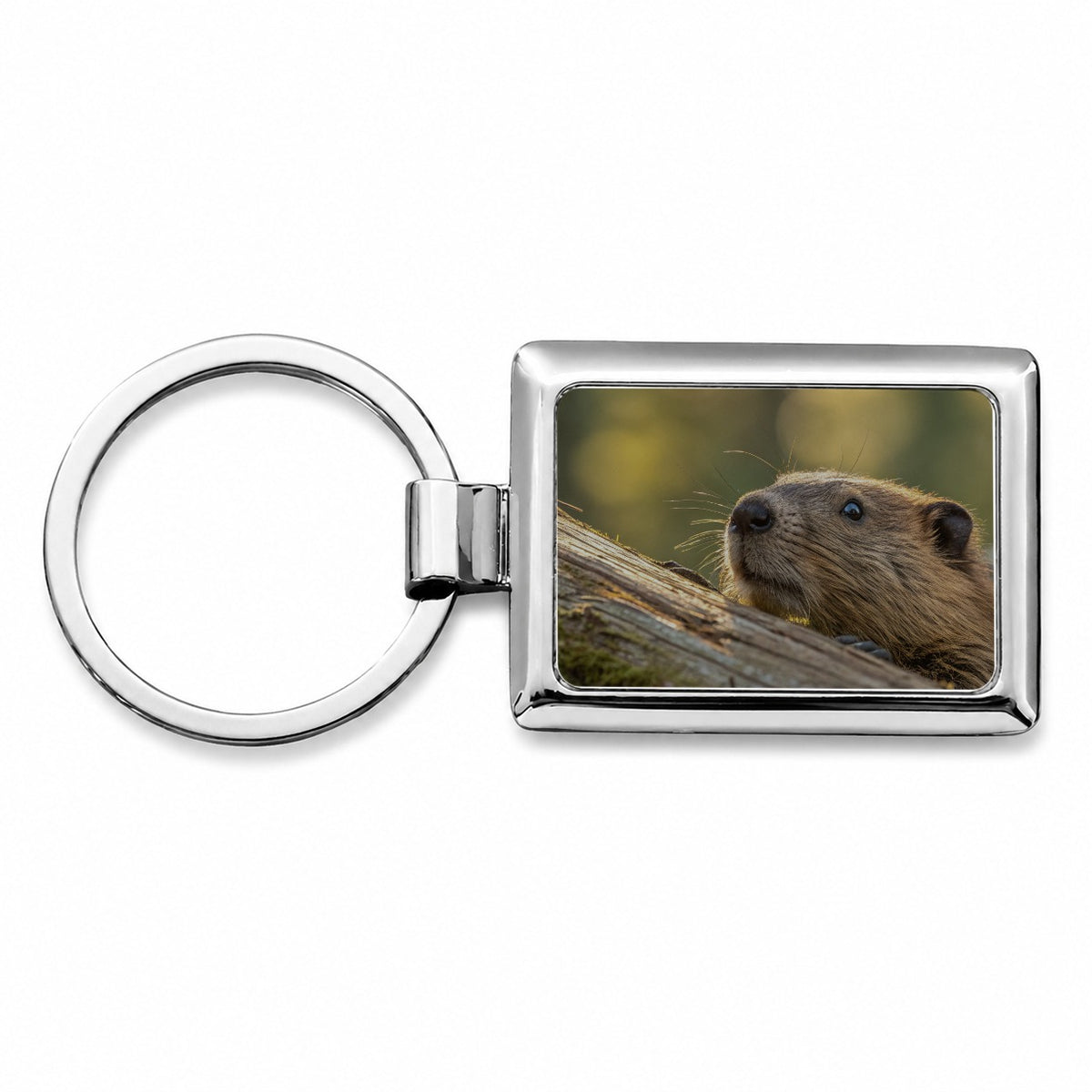 Curious Beaver Wildlife Nature Rectangle Metal Keychain