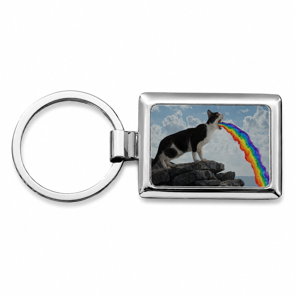 Funny Cat Rainbow Vomit Rectangle Metal Keychain
