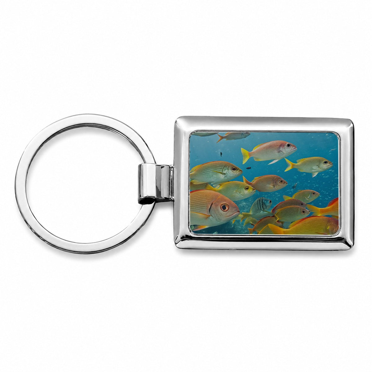 School of Fish Underwater Tropical Rectangle Metal Keychain