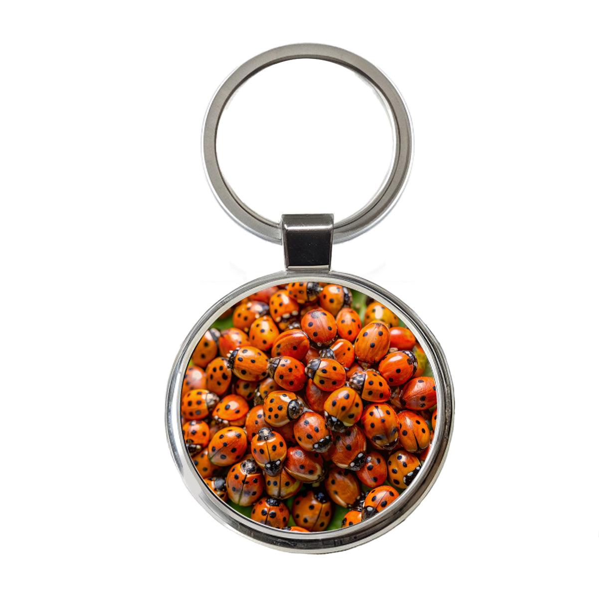 Close-Up Of Ladybugs Covering Leaf Round Metal Keychain