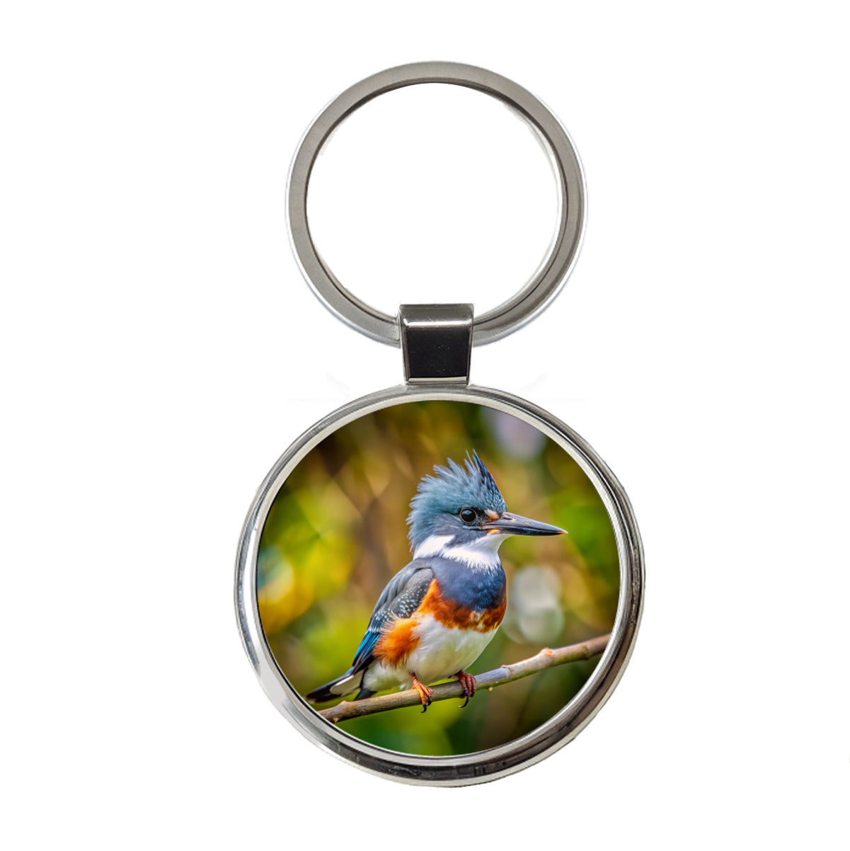 Belted Kingfisher Backyard Bird Round Metal Keychain
