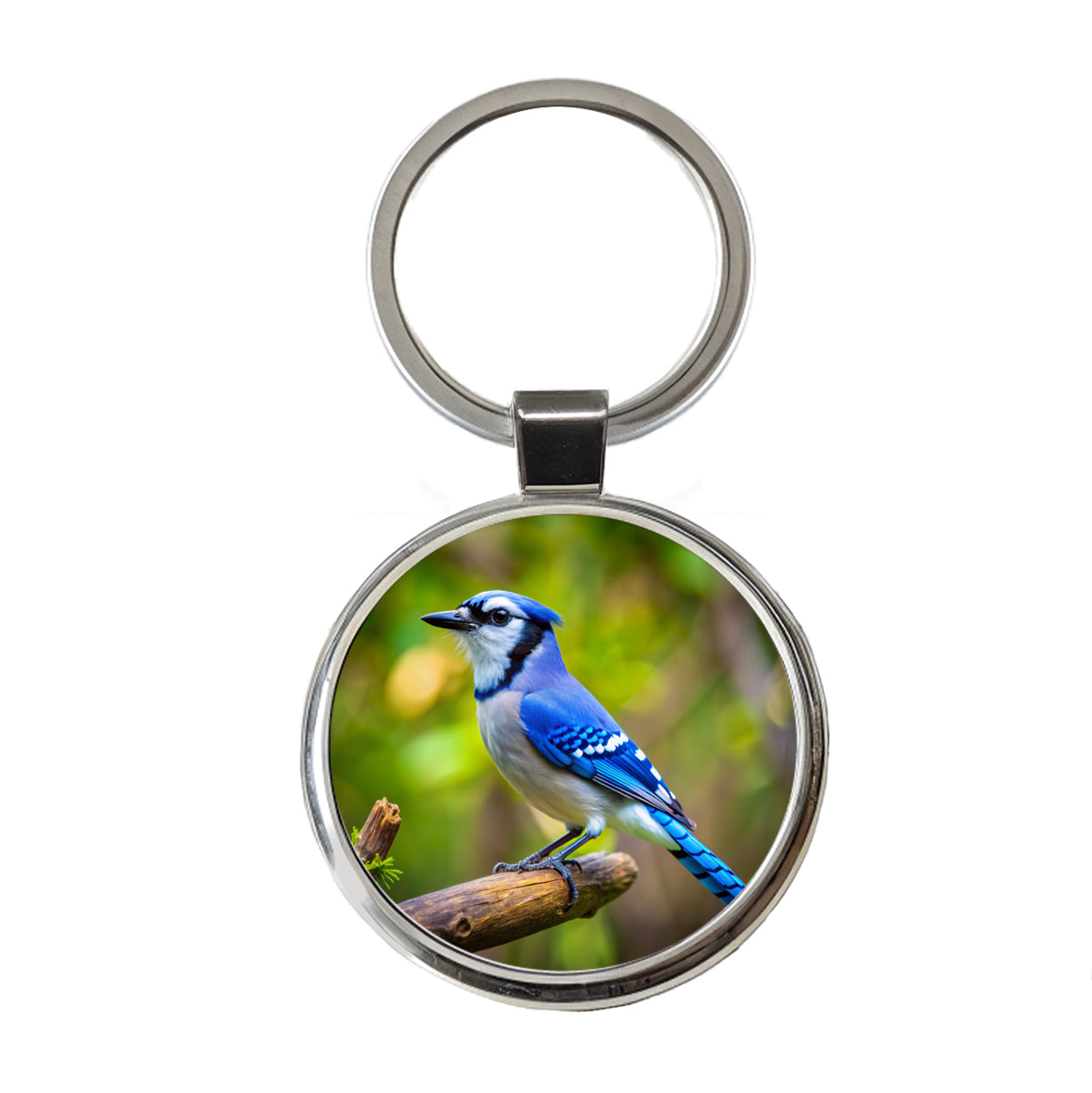 Blue Jay Backyard Bird Round Metal Keychain