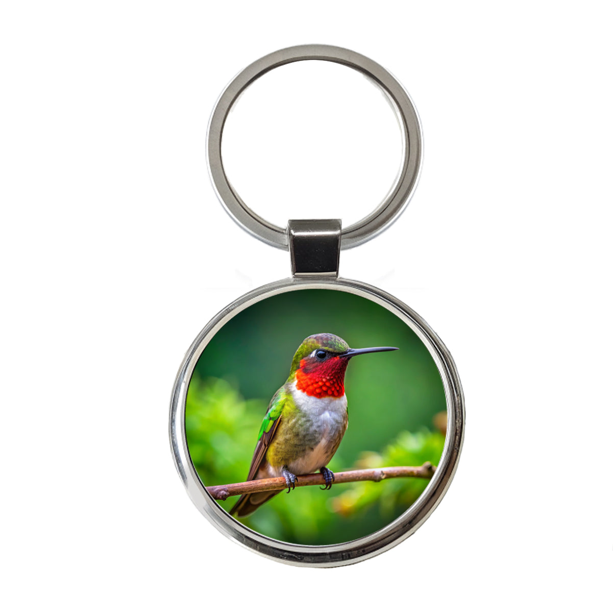 Ruby Throated Hummingbird Backyard Bird Round Metal Keychain