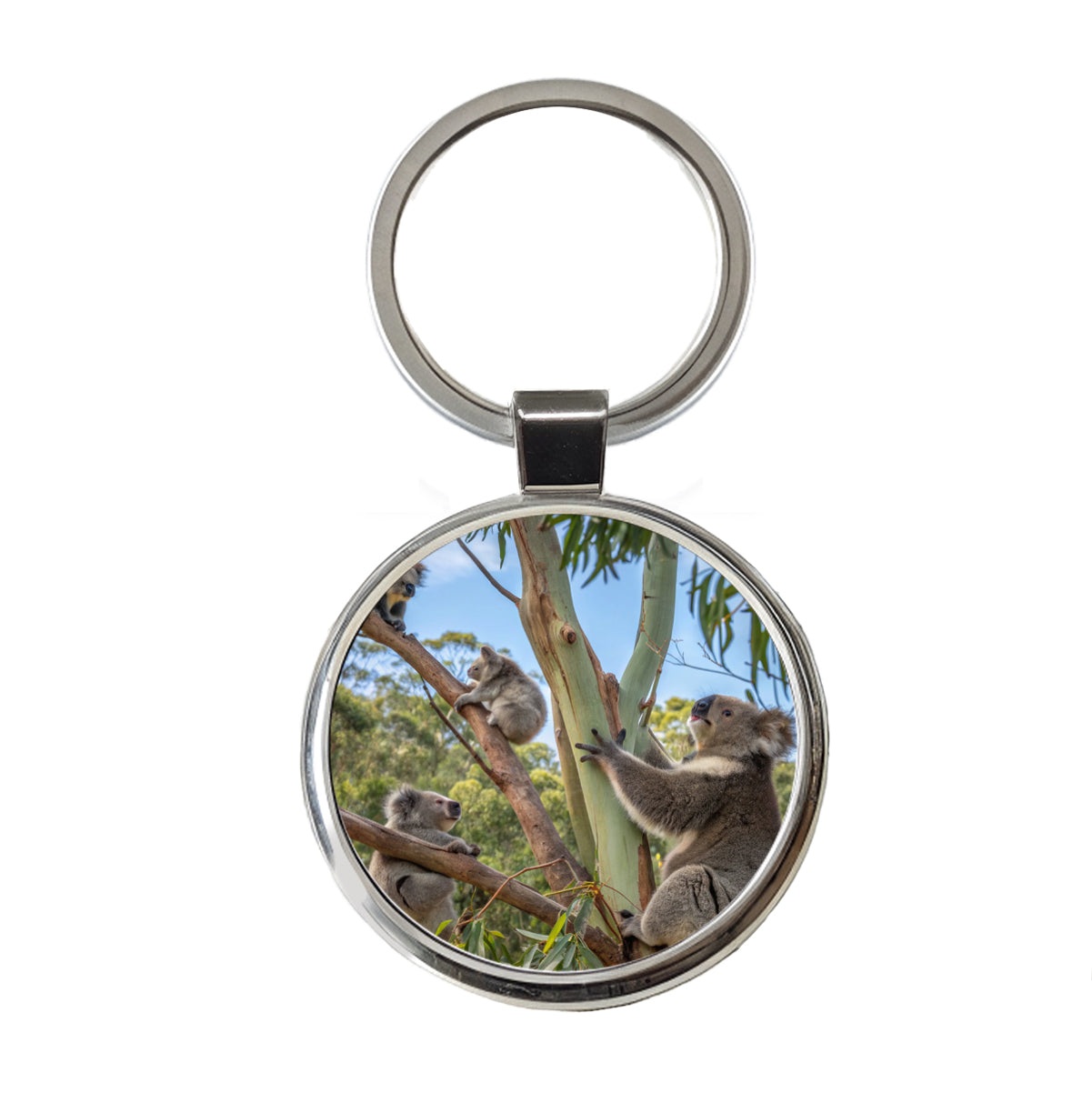 Bunch Of Koalas Round Metal Keychain