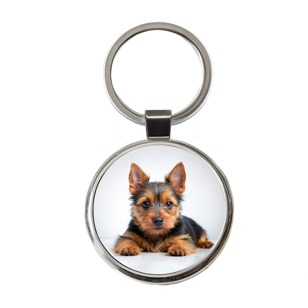 Australian Terrier Dog Puppy Photo Round Metal Keychain