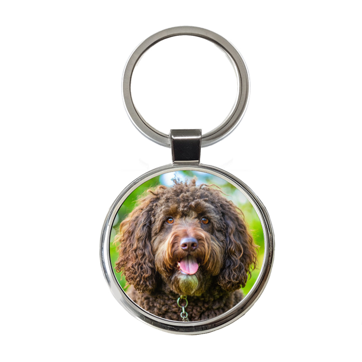 Barbet Dog Photo Round Metal Keychain