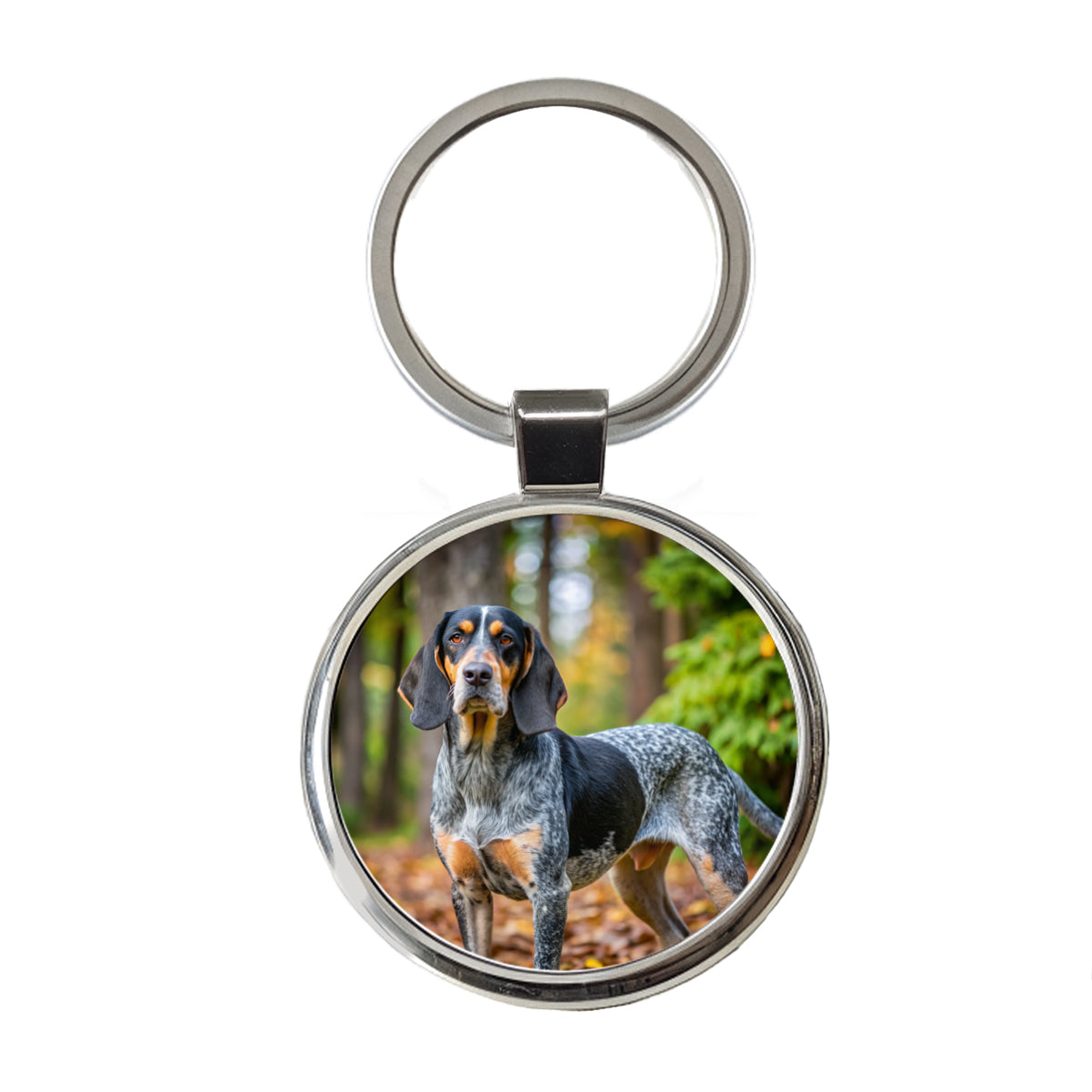 Bluetick Coonhound Dog Photo Round Metal Keychain