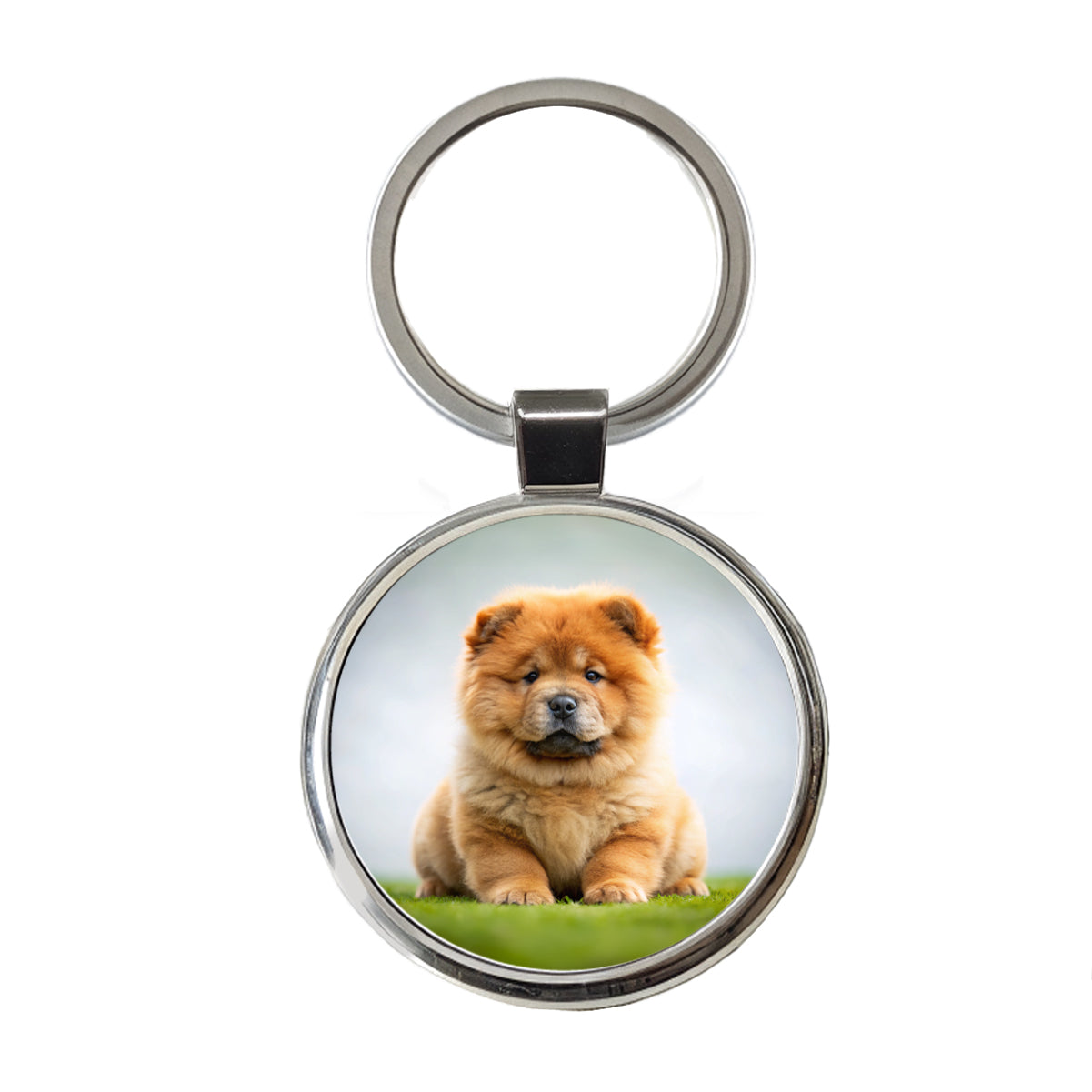 Chow Chow Dog Puppy Photo Round Metal Keychain