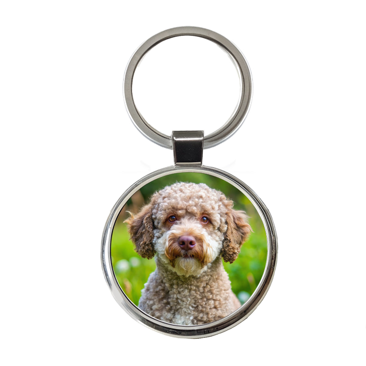 Lagotto Romagnolo Dog Photo Round Metal Keychain