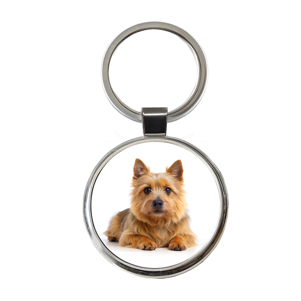 Norwich Terrier Dog Photo Round Metal Keychain