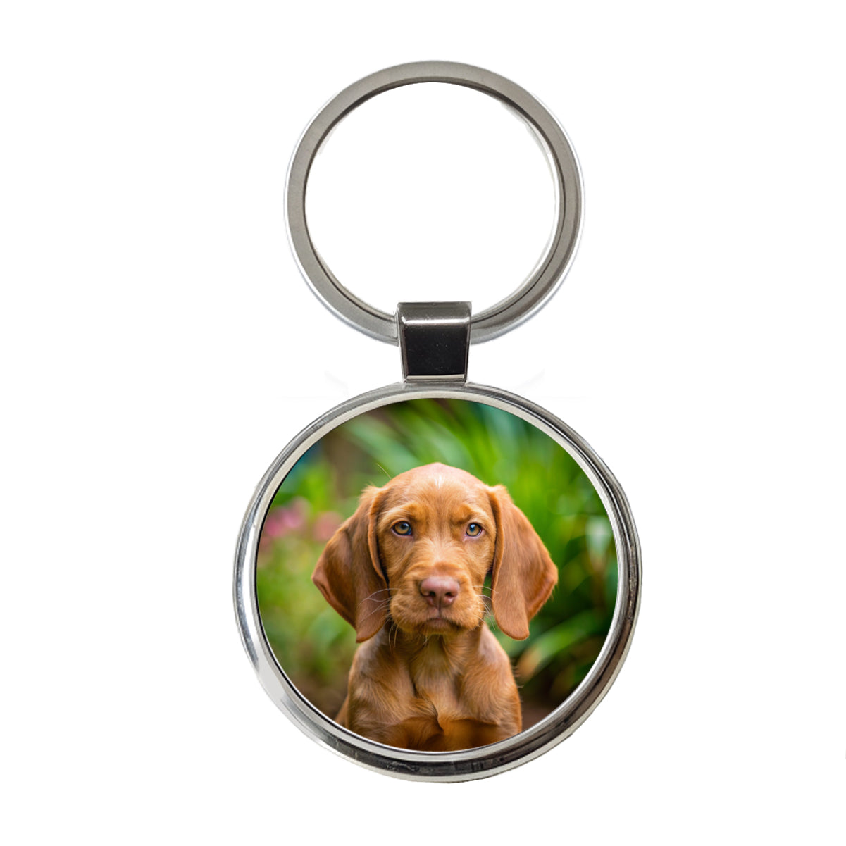 Wirehaired Vizsla Dog Puppy Photo Round Metal Keychain
