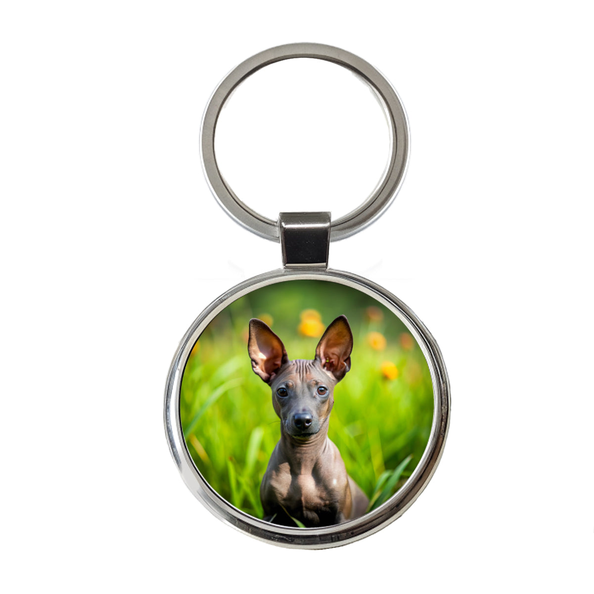 Xoloitzcuintli Xolo Mexican Hairless Dog Puppy Photo Round Metal Keychain