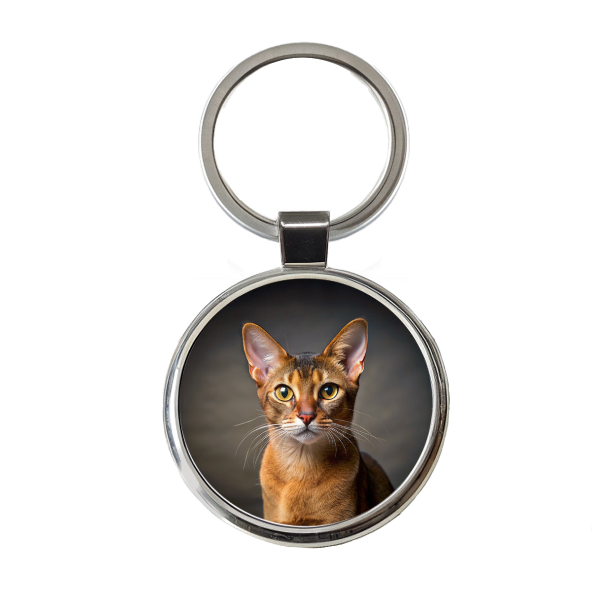 Abyssinian Cat Photo Round Metal Keychain