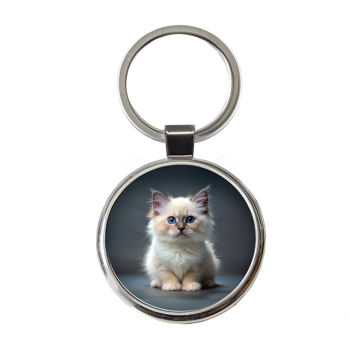 Birman Cat Kitten Photo Round Metal Keychain