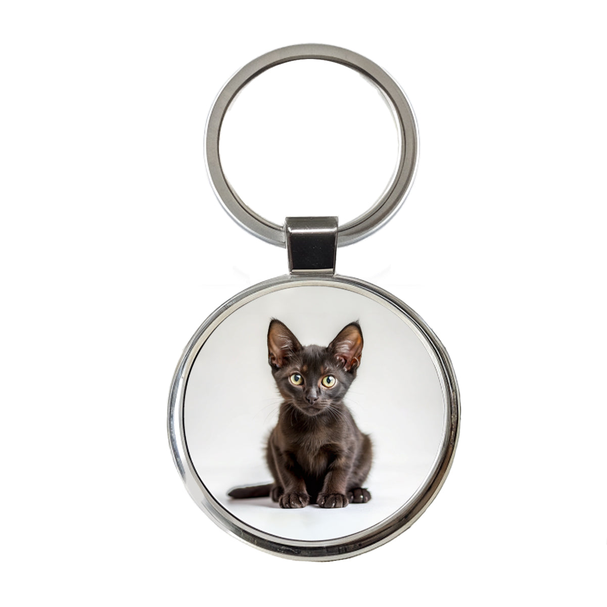 Bombay Black Cat Kitten Photo Round Metal Keychain