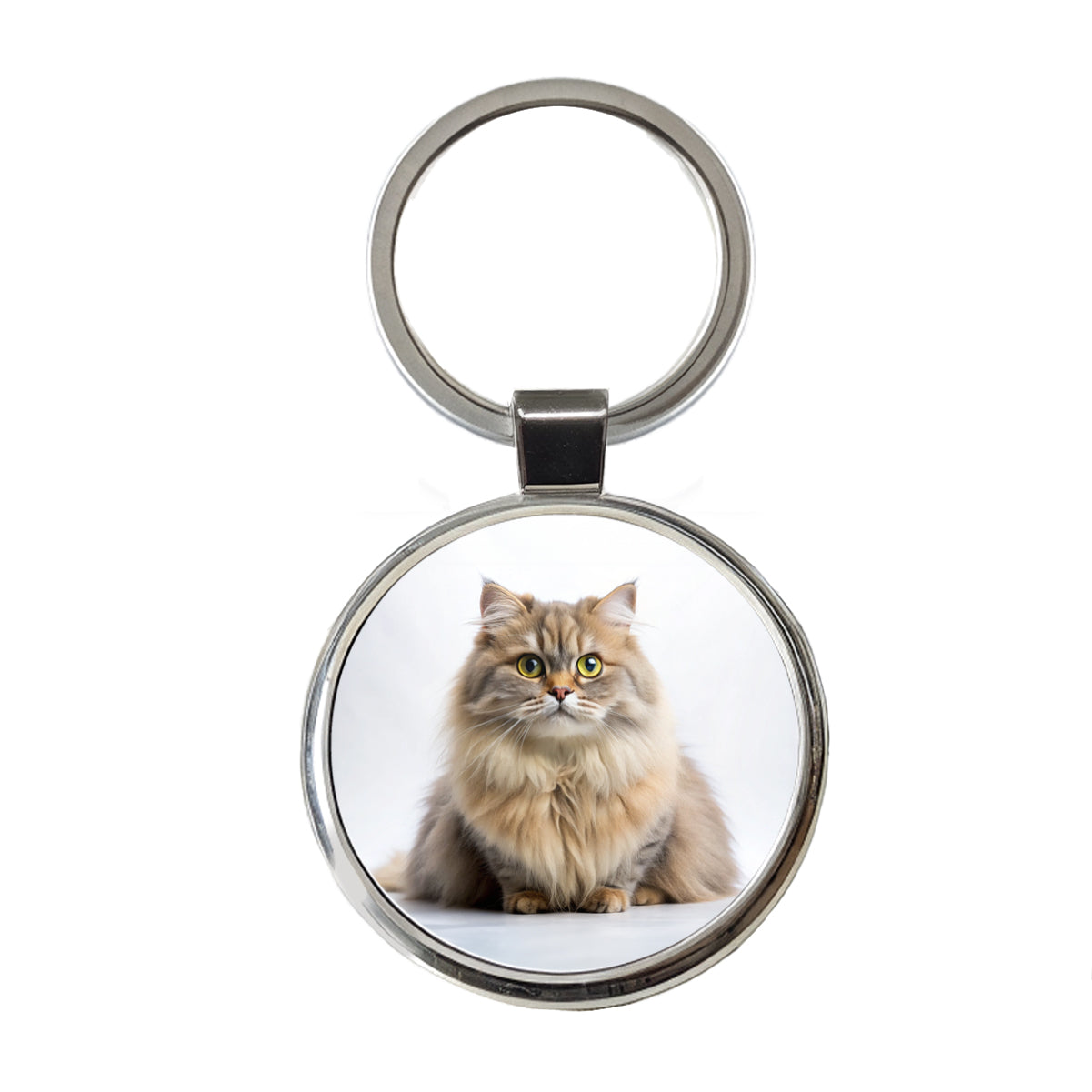 British Longhair Cat Photo Round Metal Keychain