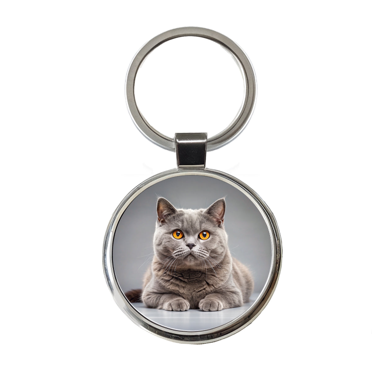 British Shorthair Gray Cat Photo Round Metal Keychain