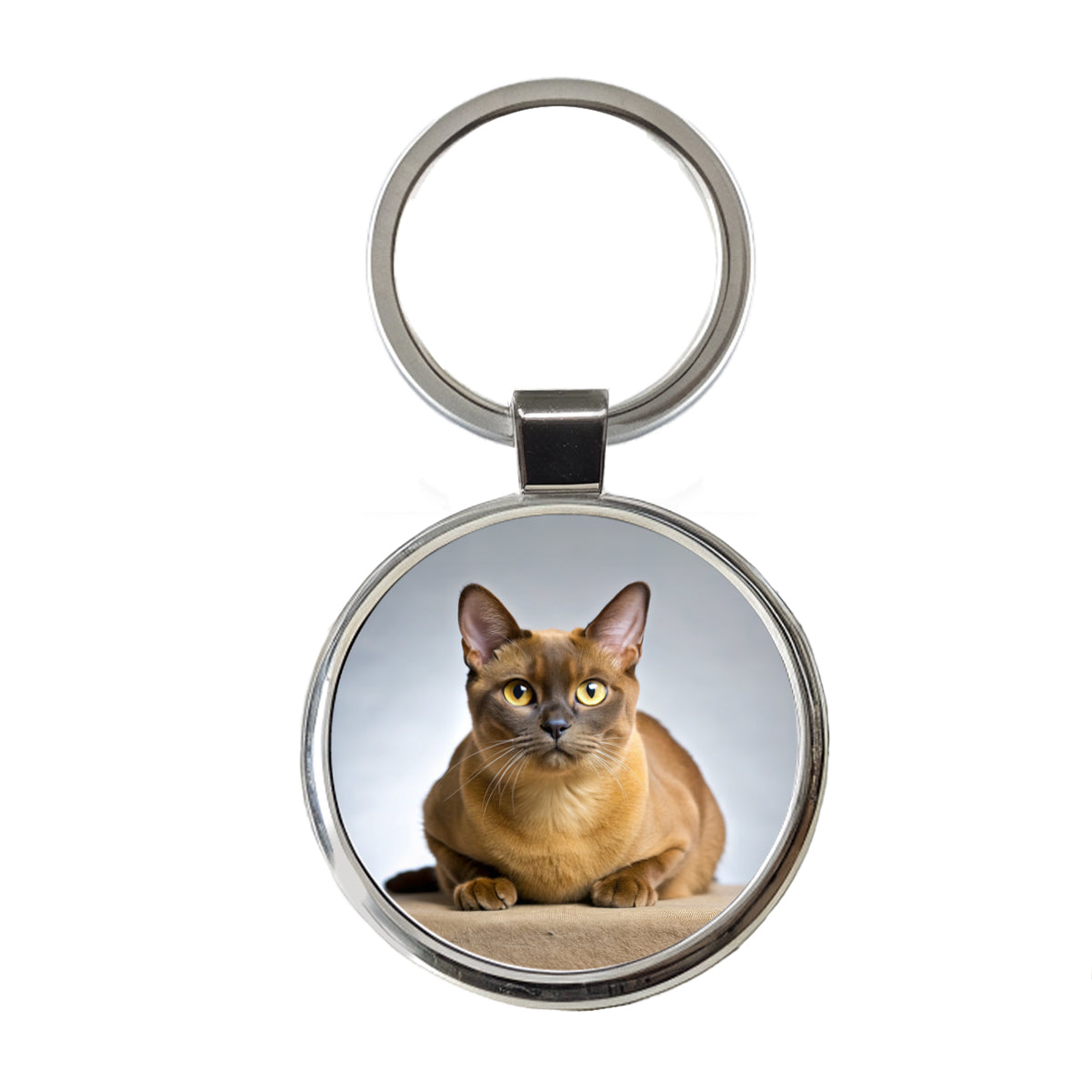 Burmese Cat Photo Round Metal Keychain