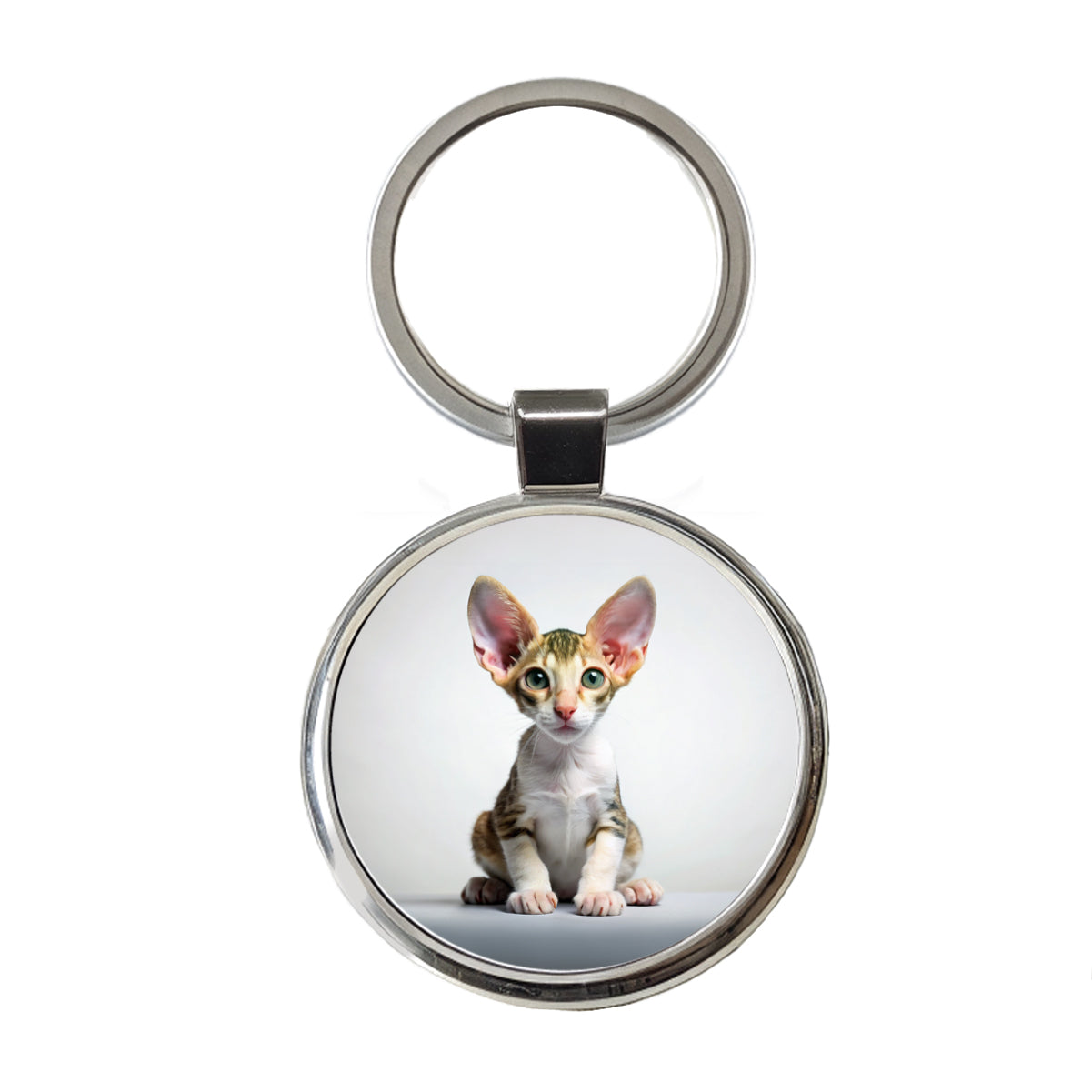 Cornish Rex Cat Kitten Photo Round Metal Keychain