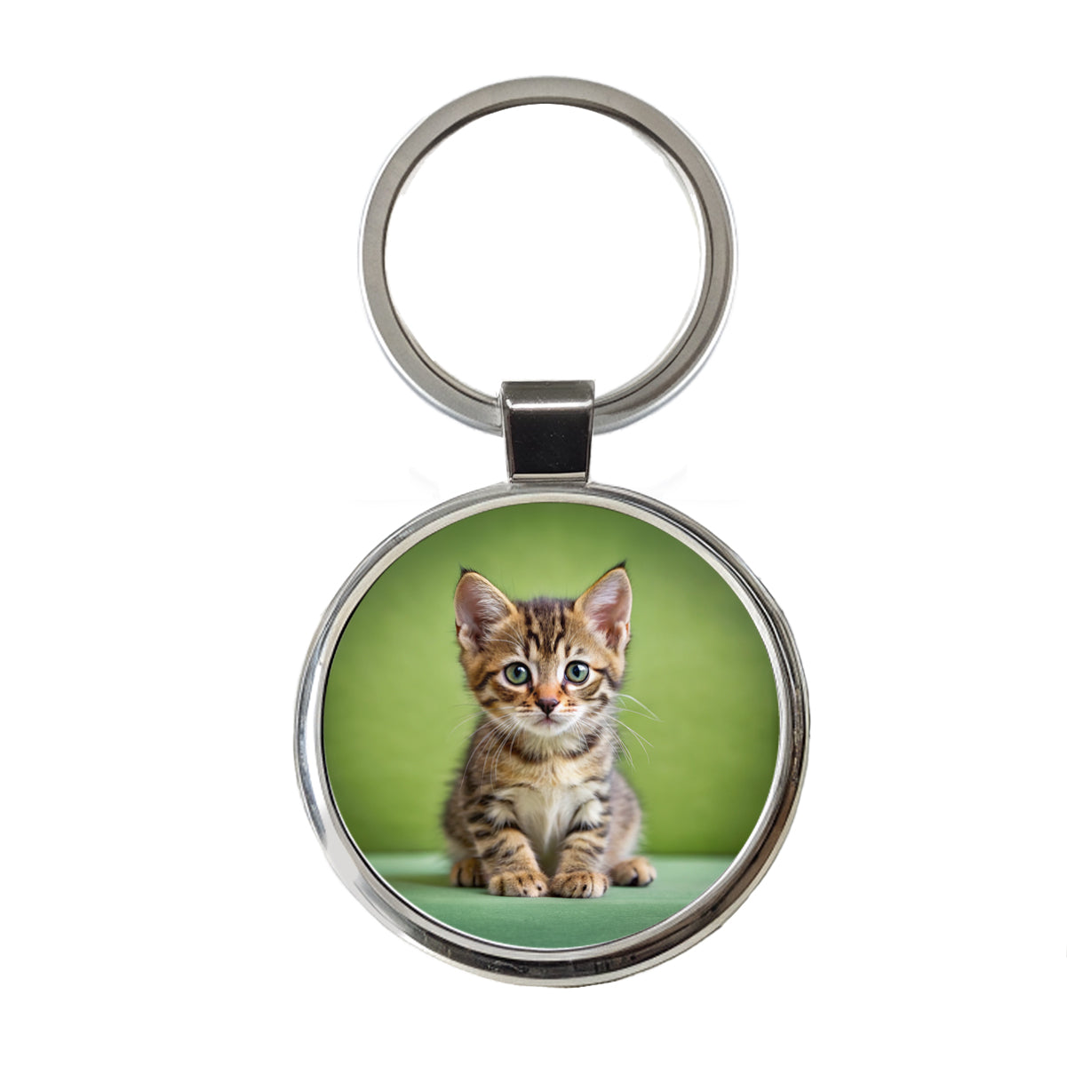 European Shorthair Cat Kitten Photo Round Metal Keychain