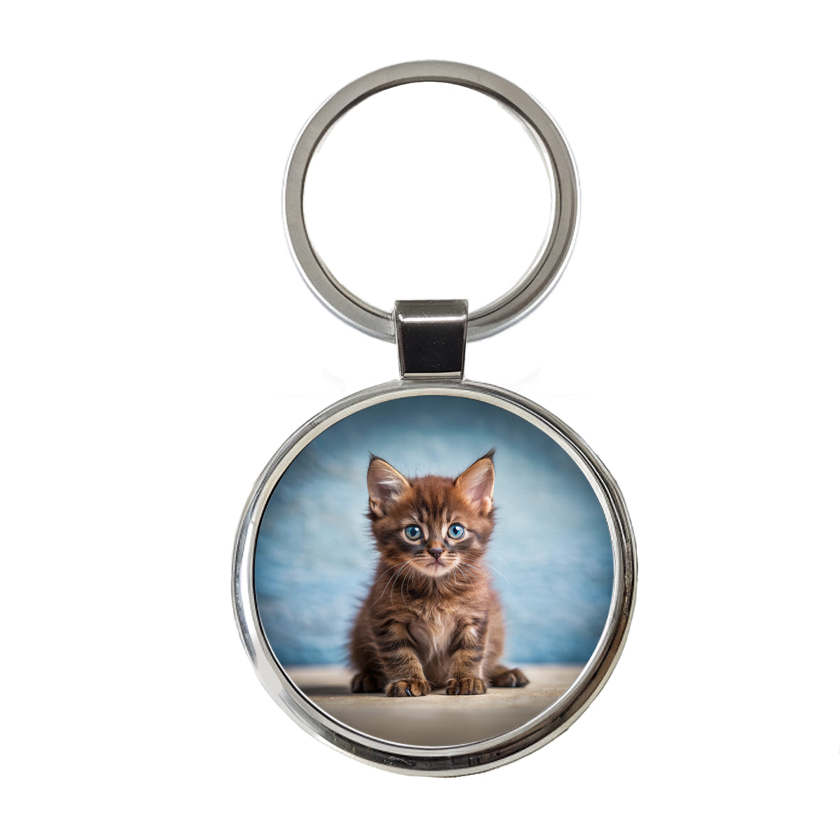 Havana Brown Cat Kitten Photo Round Metal Keychain