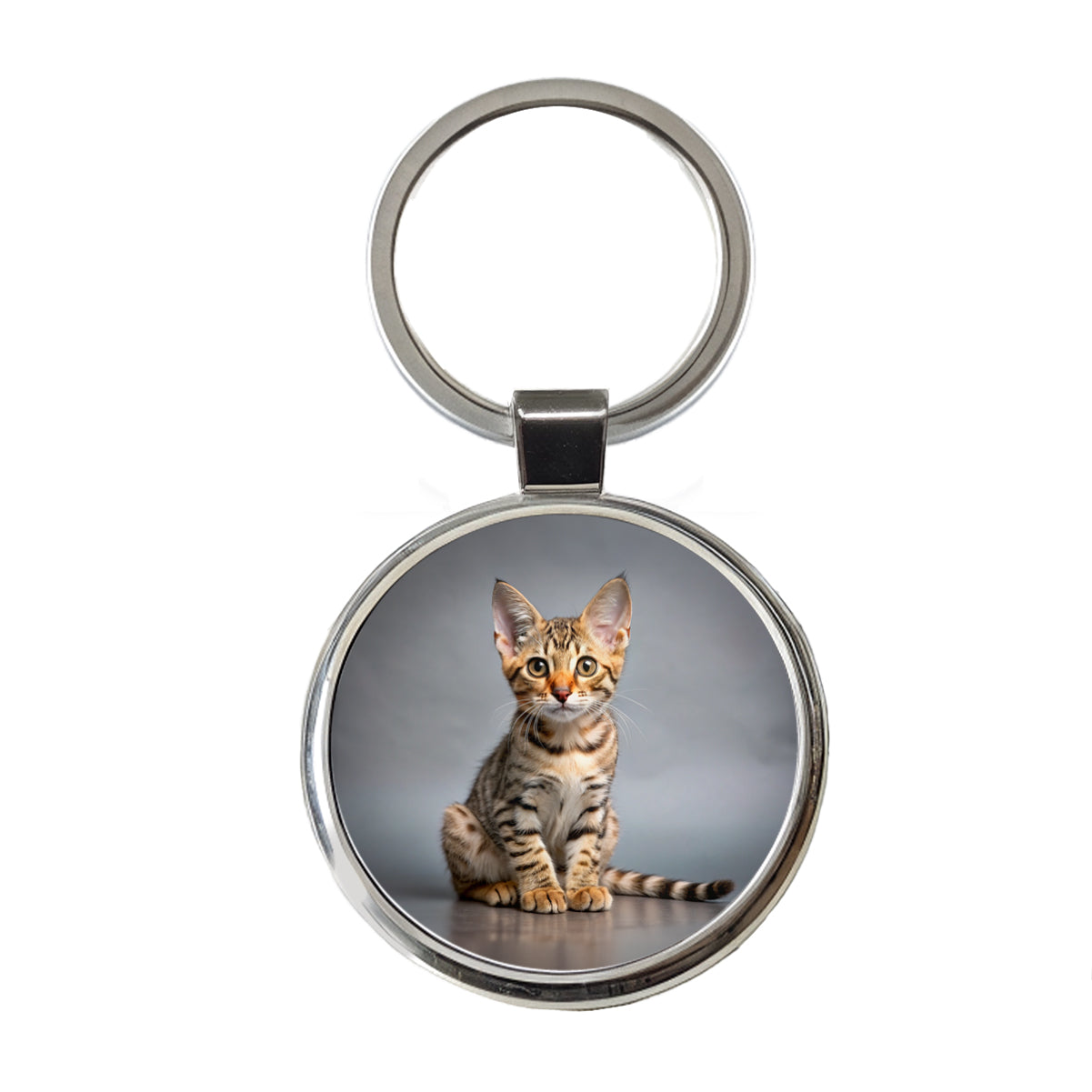 Ocicat Cat Kitten Photo Round Metal Keychain